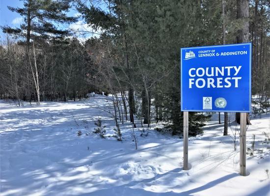 County Forest Sign