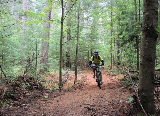 Mountain Biker on the County Forest Trail