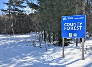 County Forest Sign